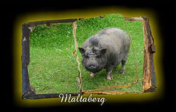 Maltaberg